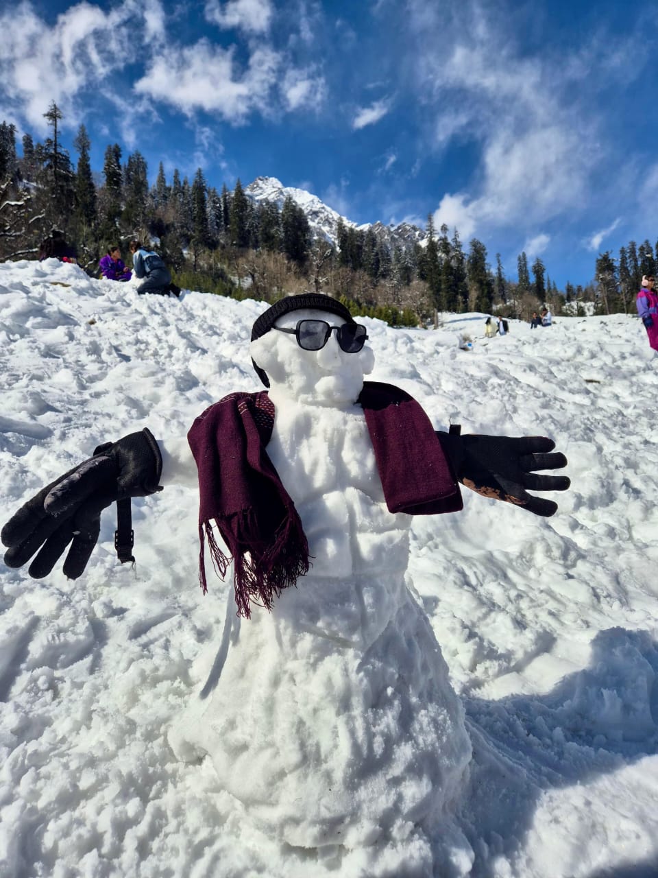 Manali Trek